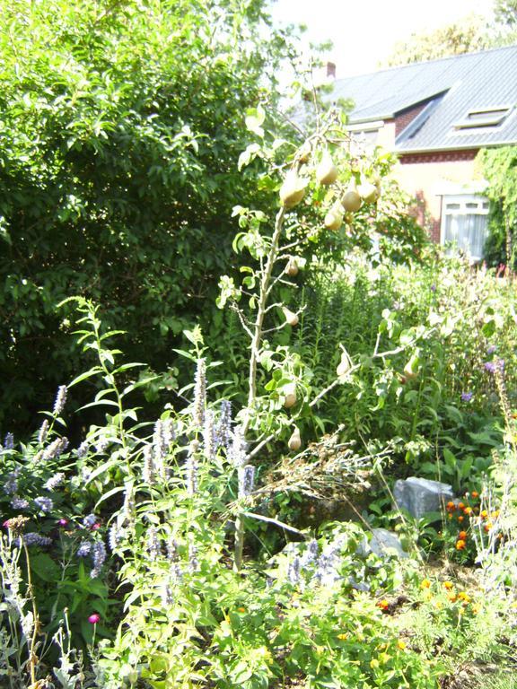 B&B Het Uilennest Bocholt Esterno foto
