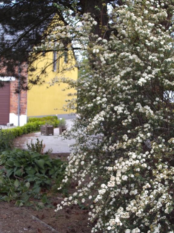 B&B Het Uilennest Bocholt Esterno foto